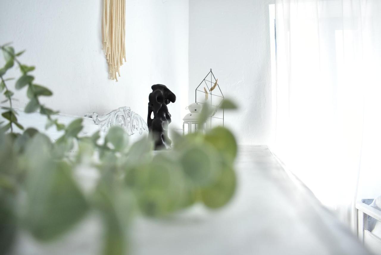 Apartment Giagia Annousio Dhriopis